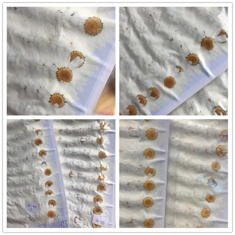 60 штук прессованных сушеных б – обзор и цена Dried Flower Bookmark
